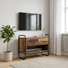 TV staliukas Televizoriaus spintelė 60 x 30 x 50 cm Sendintos medienos
