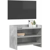 TV staliukas Televizoriaus spintelė 60 x 33 x 47 cm Betono pilka