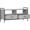 TV staliukas Televizoriaus spintelė 67,5 x 33 x 50 cm Pilka Sonoma