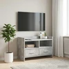 TV staliukas Televizoriaus spintelė 71,5 x 33 x 47 cm Betono pilka