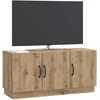 TV staliukas Televizoriaus spintelė 99 x 34,5 x 47 cm Artisano ąžuolo