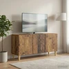 TV staliukas Televizoriaus spintelė 99 x 34,5 x 50 cm Sendintos medienos