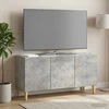 TV staliukas Televizoriaus spintelė 99 x 34,5 x 50 cm Betono pilka