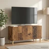 TV staliukas Televizoriaus spintelė 99 x 34,5 x 50 cm Sendintos medienos