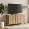 TV staliukas Televizoriaus spintelė 99 x 34,5 x 52 cm Artisano ąžuolo