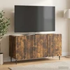 TV staliukas Televizoriaus spintelė 99 x 34,5 x 52 cm Dūminio ąžuolo
