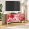 TV staliukas Televizoriaus spintelė AACHEN 102 x 33 x 50 cm Sonoma ąžuolo
