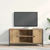 TV staliukas Televizoriaus spintelė 100 x 40 x 50 cm artisano ąžuolo