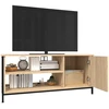 TV staliukas Televizoriaus spintelė, ąžuolo, 100x40x45cm, apdirbta mediena