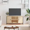 TV staliukas Televizoriaus spintelė, ąžuolo, 100x40x50cm, apdirbta mediena