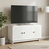 TV staliukas Televizoriaus spintelė Balta 99 x 34,5 x 50 cm Apdirbta mediena