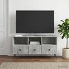 TV staliukas Televizoriaus spintelė Betono pilka 102 x 34,5 x 50 cm