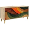 TV staliukas Televizoriaus spintelė BONN 102 x 33 x 50 cm Sonoma ąžuolo