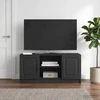 TV staliukas Televizoriaus spintelė Juoda 102 x 34,5 x 47 cm