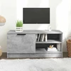 TV staliukas Televizoriaus spintelė, pilka, 80x35x36,5cm, apdirbta mediena