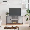TV staliukas Televizoriaus spintelė, pilka ąžuolo, 100x40x50cm, mediena