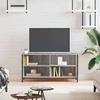TV staliukas Televizoriaus spintelė, pilka ąžuolo, 100x40x50cm, mediena