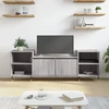 TV staliukas Televizoriaus spintelė, pilka ąžuolo, 160x35x55cm, mediena