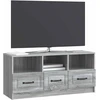 TV staliukas Televizoriaus spintelė Pilka sonoma ąžuolo 102 x 34,5 x 47 cm