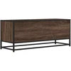 TV staliukas Televizoriaus spintelė, ruda, 100x34,5x40cm, mediena ir metalas