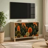 TV staliukas Televizoriaus spintelė ZAANDAM 69 x 33 x 50 cm Sonoma ąžuolo