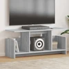 TV staliukas Televizoriaus stovas 102 x 35 x 45 cm Pilkas Sonoma