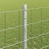 Tvora su stulpais Sidabro