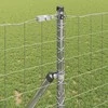 Pagrindo Suvirintas Vielos Tvora 25 x 1,2 m (Plotis x Aukštis)