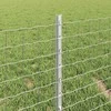 Tvorelės stulpas 11 pcs Sidabro 40 cm Plienas