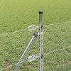 Tvorelės stulpas Sidabro