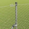 Pagrindo Suvirintas Vielos Tvora 50 x 1,6 m (Plotis x Aukštis)