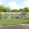 Vištų narvas 4 vnt. Sidabro 800 x 200 x 200 cm Plienas ir PE