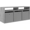 TV staliukas Žemas stalas 102 x 32 x 48,5 cm Pilka Sonoma