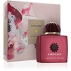 Amouage Crimson Rocks EDP U 100ml