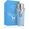 Armaf Magnificent Satin EDP parfumuotas vanduo vyrams, 100 ml