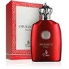 Emir Opulentia Flame 100ml kvepalai Vyrams EDP
