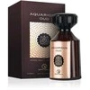 Grandeur Aquarious Oud EDP parfumuotas vanduo unisex, 100 ml