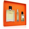 Hermès Terre d’Hermès rinkinys vyrams (kvepalai EDT, 100 ml + kvepalai EDT, 15 ml + dušo želė, 40 ml)