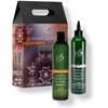 HS Milano Vegan Radiance Color Care SET (Šampūnas 350ml + Leave-In Treatment 350ml)