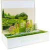 Jenny Glow Olivia Blossom EDP U 80 ml dovanų dėžutė