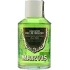 Marvis Spearmint Mouthwash Šaltmėčių skonio burnos skalavimo skystis, 120 ml