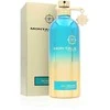 Montale Paris Day Dreams for Women (Kvepalai Moterims) EDP - 100ml