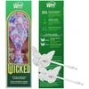 Wet Brush Wet Wicked Glinda Kit 2.0