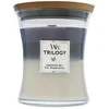 Woodwick Aromatinė žvakė (Trilogy Amethyst Sky), 275 g