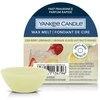 Yankee Candle Yankee žvakė su lediniu uogų limonadu, 22 g