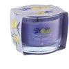 Yankee Candle citrinų ir levandų kvapo žvakė