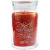 Yankee Candle Putojantis cinamonas 567 g