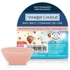 Yankee Candle Watercolor Skies 22 g