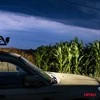 Amio Automobilinė lempa led 18W