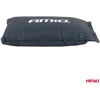 Automobilinis drėgmės sugėriklis, 250 g AMIO-04879